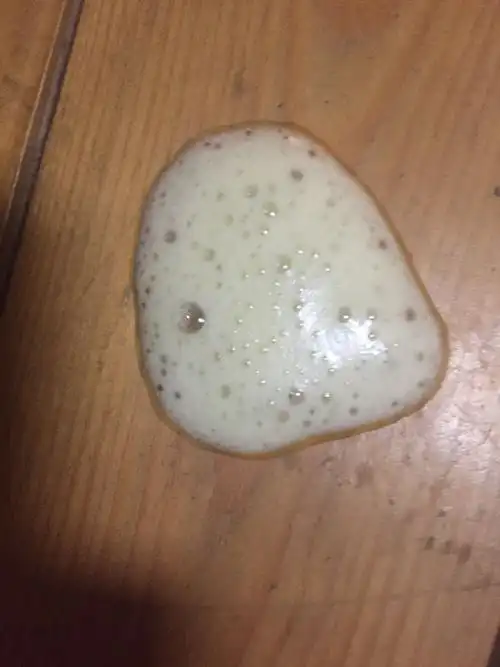 家里狗狗吐白色类似泡沫的东西怎么回事啊?急求.