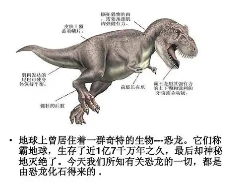 免费文档 所有分类 自然科学 天文/地理 恐龙简介ppt   地球上曾居住