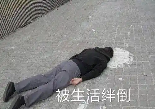被生活绊倒绊倒生活表情
