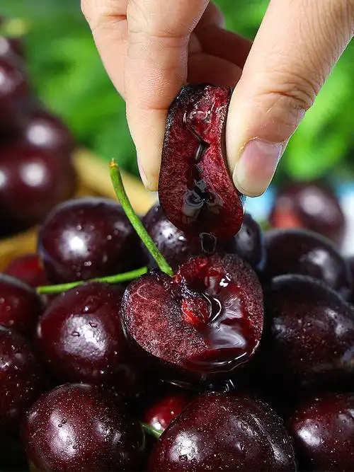 果蜜美 智利车厘子4j进口新鲜水果-美妆探