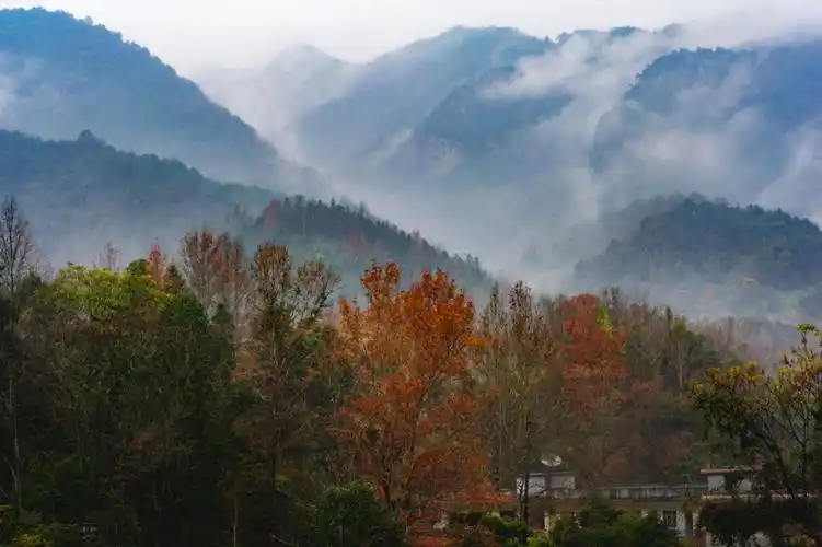 24   地点:韶关始兴县车八岭国家级自然保护区