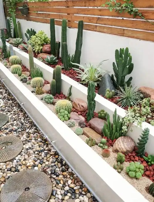 沙漠风热植造景咖啡店商业空间造景