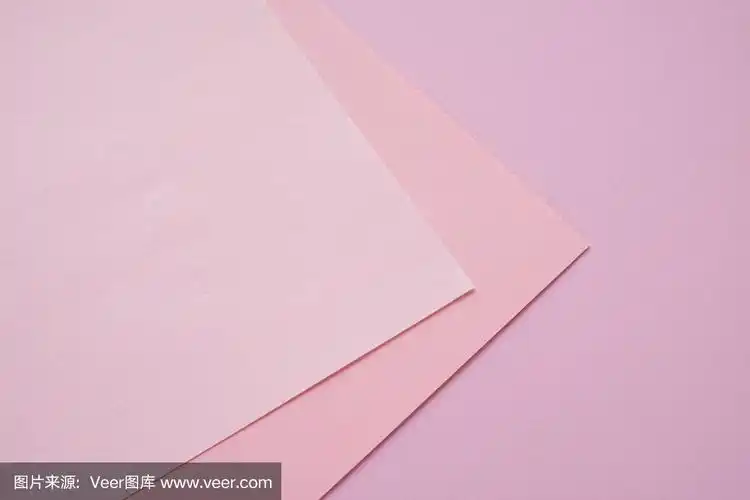 淡粉色背景上的热带树叶.最小的概念.