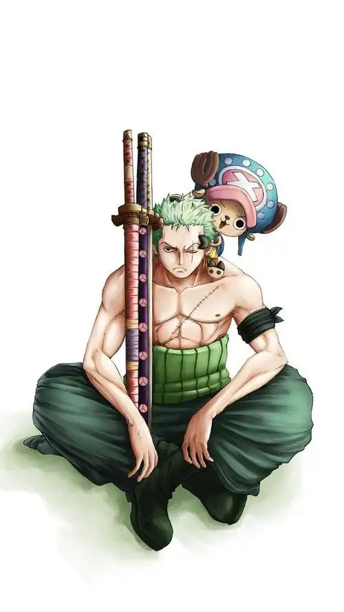 海贼王 三刀流索隆 与艾斯