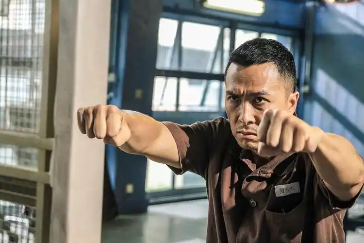 甄子丹这几年最纯粹的一部动作片精彩刺激动作迷真的该看看