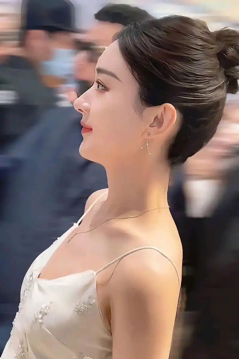 赵丽颖的侧脸真好看, 有看她粉丝说她鼻子是微翘. 其实她鼻子是典型的