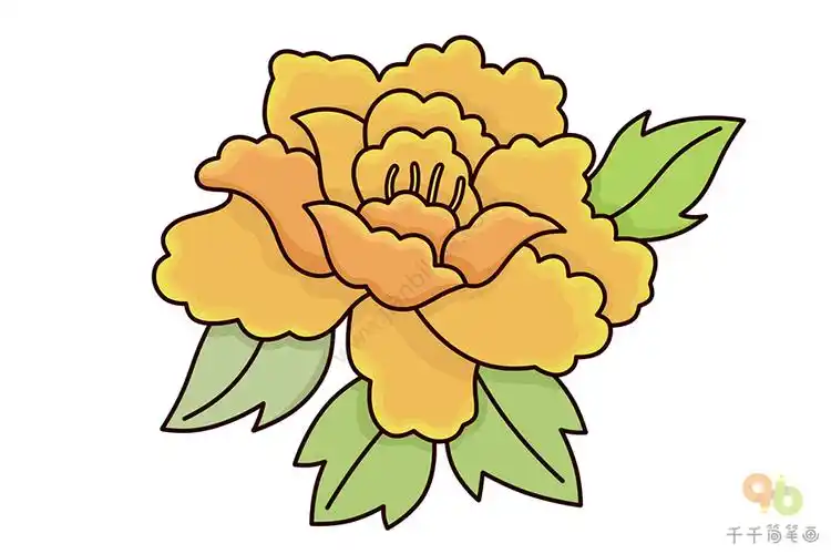 儿童学画牡丹花简笔画_牡丹花简笔画