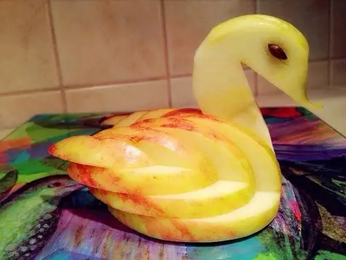 水果拼盘动物图片_水果做小动物图片