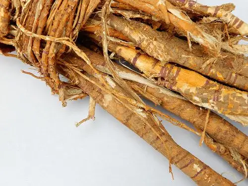 桑根皮桑白皮老桑树根皮老桑皮白桑皮洗头发晒干桑白皮 桑根皮1斤