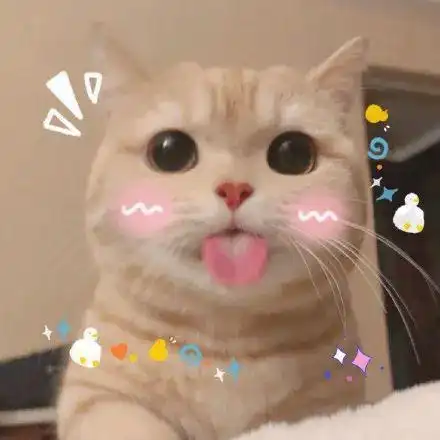 橘猫凭吐舌头撩倒200万粉丝五月天阿信都顶不住