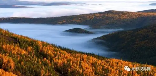 周繇中国的宝藏东北林区满足你对天然森林的所有幻想二