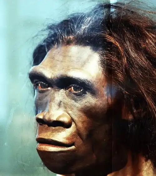 为什么说一万年前的人类和现代人没什么不同,又有很大不同?