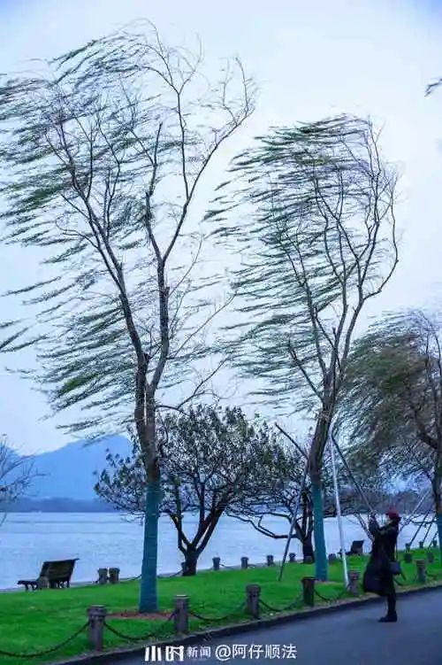 好摄|迎着大风和秋天挥手告别,正式开启"炫冬日"模式