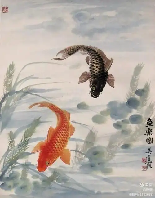 国画花鸟,鲤鱼画家吴青霞图片