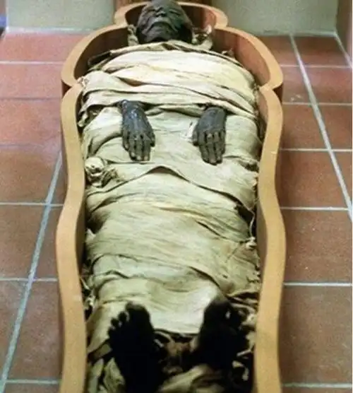 为什么会形成木乃伊黄鹤楼十万个为什么动漫视频