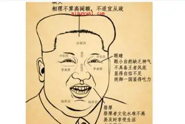 如何看面相_知识百科 - 百科火