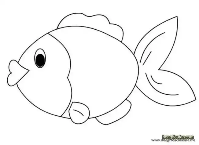 画图片教程二小金鱼怎么画一步一步教金鱼简笔画金鱼儿童画怎么画金鱼