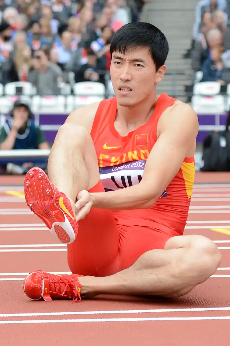 刘翔摔倒告别伦敦过程回放(图)