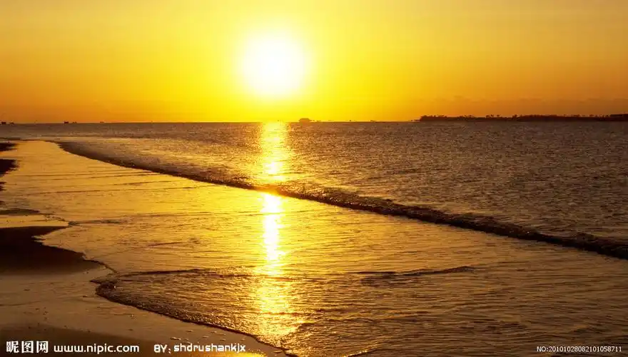 金色的太阳图片