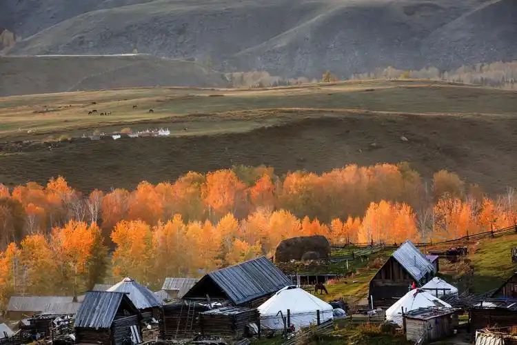 风景如画的中哈边界大峡谷,美丽自然纯朴的白哈巴.