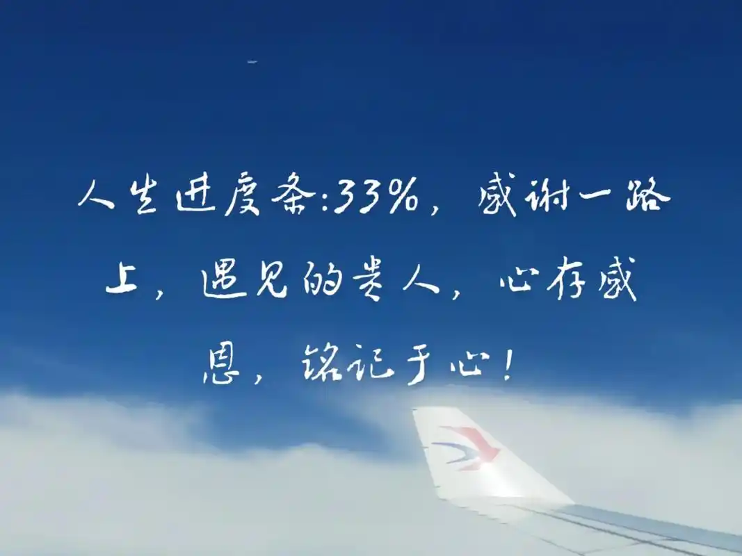 人生进度条:33%,感谢一路上,遇见的贵人,心存感恩,铭记于 - 抖音