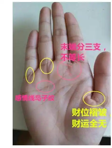 这种手相之人,不论男女,注定一辈子钱财不断,财运亨通!