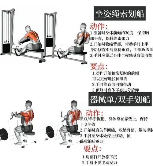 错!正确地训练背部肌肉可以改