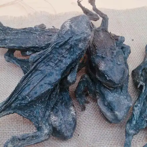 干蟾蜍干蟾癞蛤蟆干赖蛤蟆中药中药材蟾蜍衣蟾蜍皮蟾衣干蟾皮 1000g