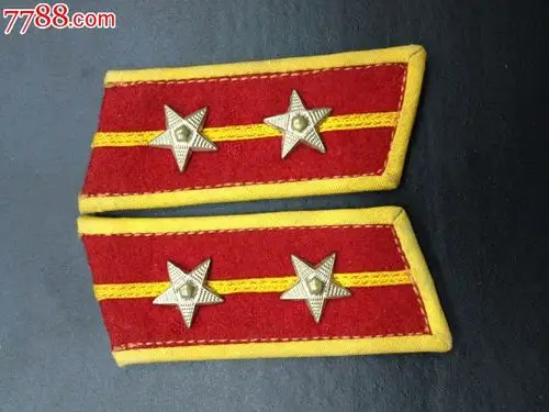 55式中蔚铜星领章