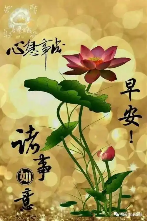 快乐早晨,美好心情.早安表情包集萃