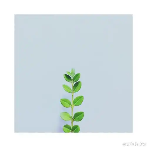 分享极简贴纸美图小文艺