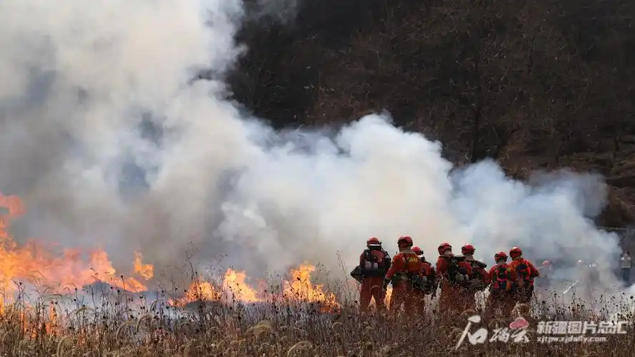 防患未燃新疆守好森林草原防灭火安全底线