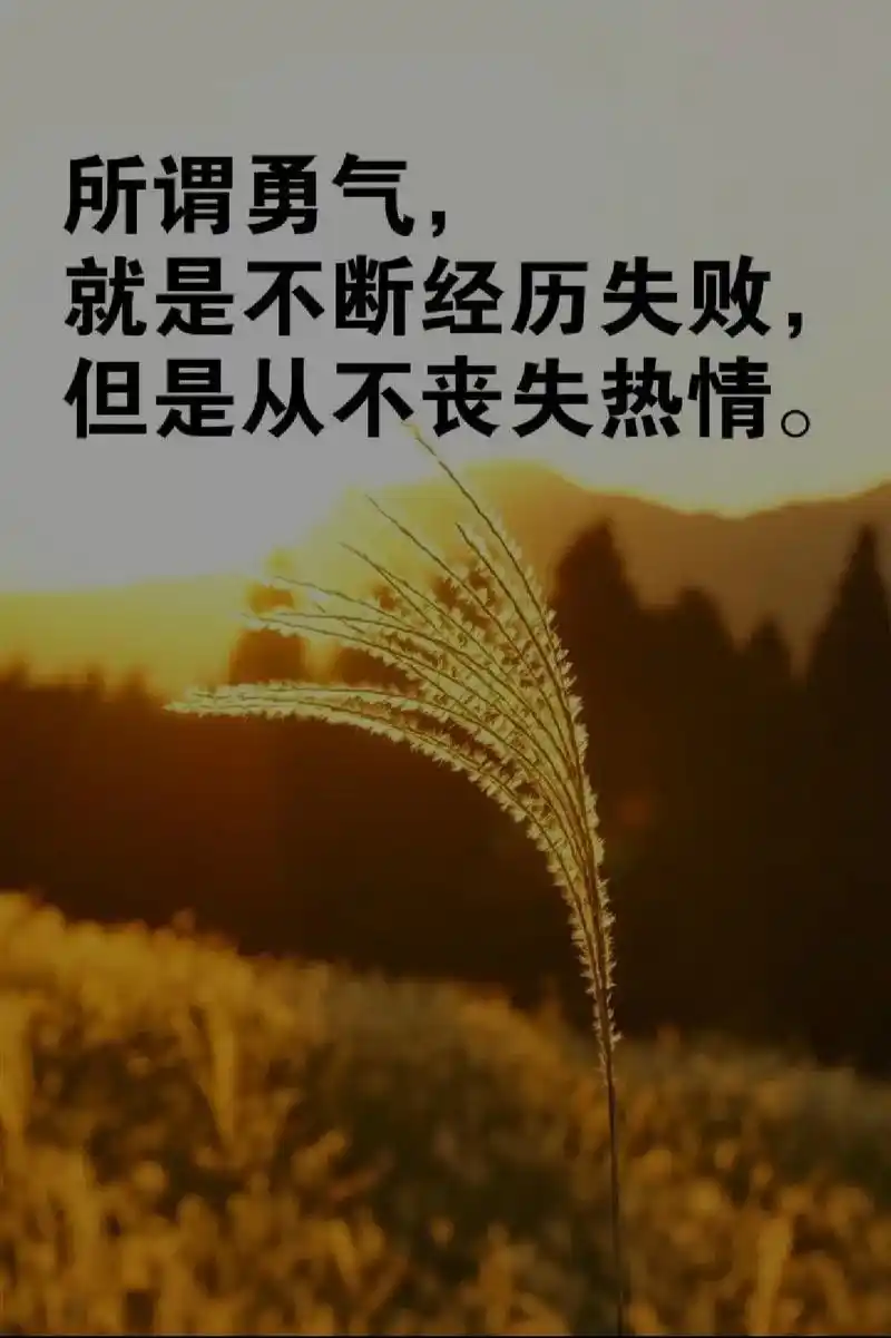 抖音图文来了 #励志 #不认命就拼命 成年人的世界,没有容 - 抖音