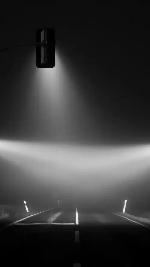 抖音很火的猫壁纸抖音网红星狗壁纸