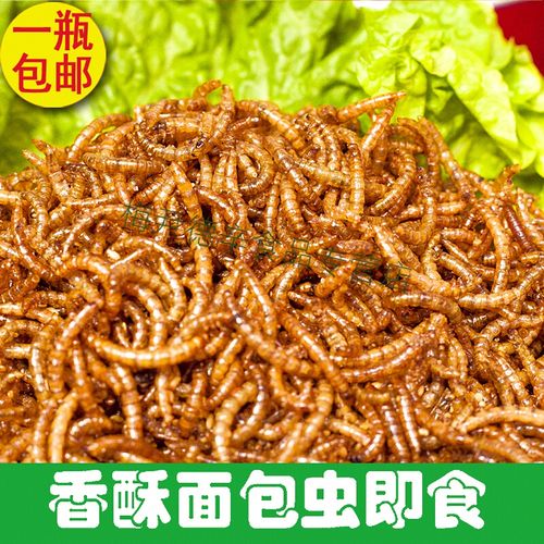 梦信油炸香辣面包虫即食熟食黄粉虫美味虫子一罐120g  人食