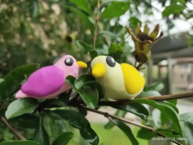 孙女果果【五周岁】爱上超轻黏土制作——三只小鸟