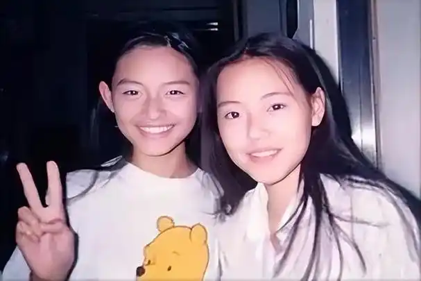 再见,大s,再见,小s!叱咤娱乐圈的姐妹花,终于被"打回原形"