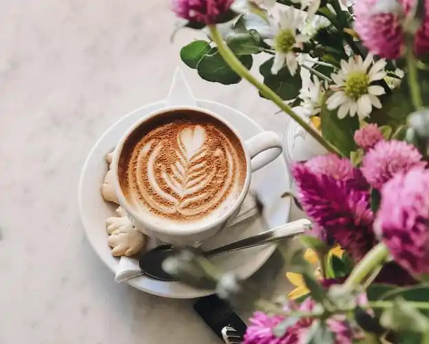 官方下载把好的食物混合在一起, 专业的咖啡