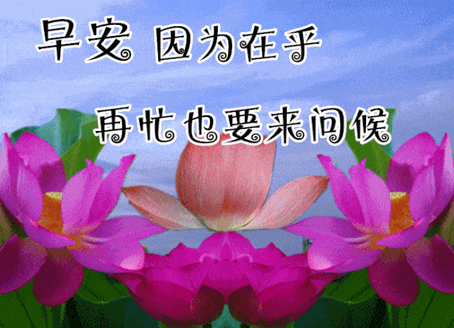 10月22日最漂亮早上好动态表情图片大全,早晨好动图美图大全