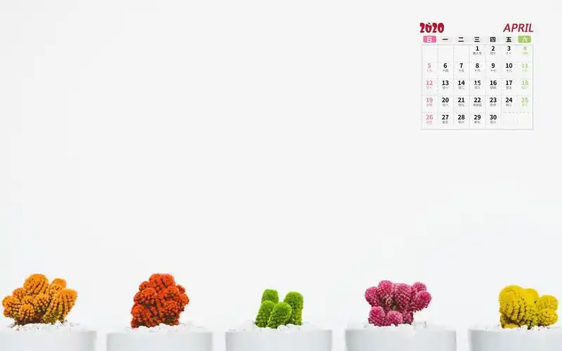 2020年4月小清新盆栽写真日历,月历壁纸-回车桌面