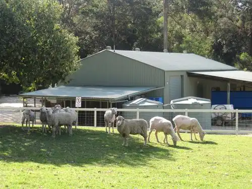 澳洲之七 感受农场