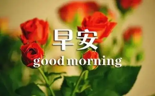 玫瑰花图片唯美带字 - 搜狗图片搜索