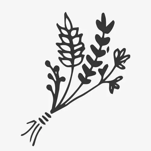 卡通简约黑白插画小清新花草免抠素材免费下载_觅元素51yuansu.com