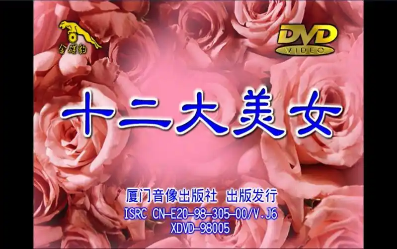 十二大美女海底城泳装歌唱秀合集金碟豹dvd版