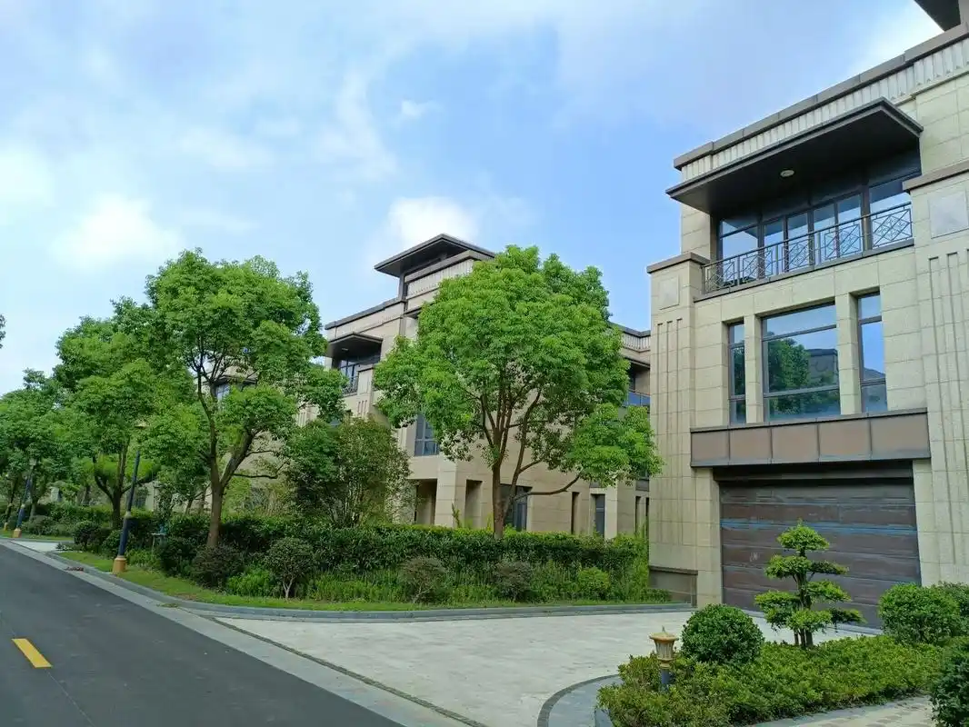 独栋别墅 上海浦东新区川沙迪士尼 - 抖音