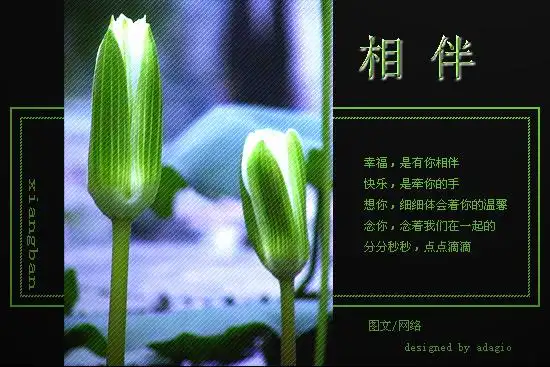 相知相伴 相依相守