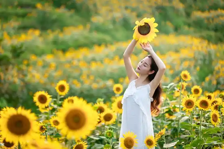 向日葵女孩