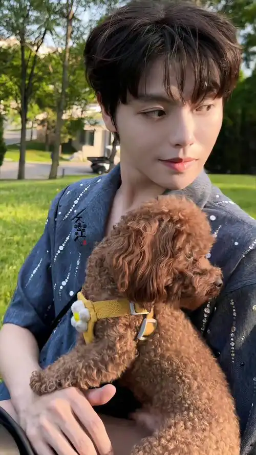 肖宇梁##肖宇梁旦脸武生