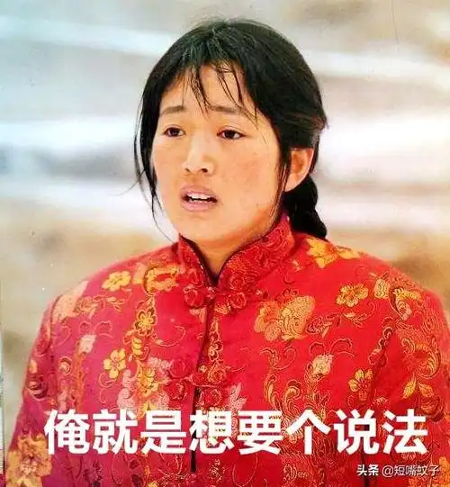 10.俺就是想要个说法—–出自《秋菊打官司》9.