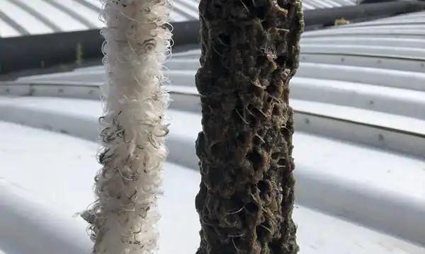 如何判断辫带式填料的挂膜情况呢